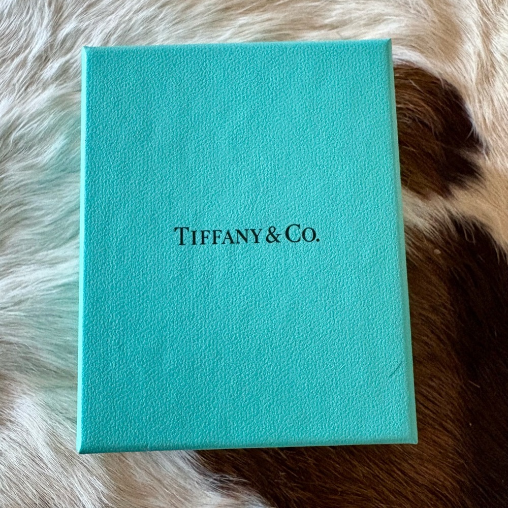Tiffany & Co. Turquoise Gift Box Empty